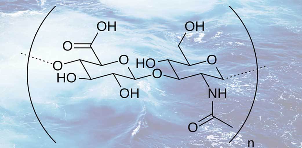 Hyaluronic Acid: Nature’s Moisture Miracle Molecule