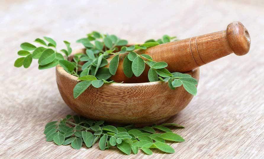 Moringa: Nature's Most Powerful Antioxidant