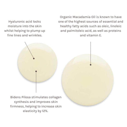 ingredient info on swatch of firming body oil including information on hyaluronic acid, macadamia oil and bidens pilosa