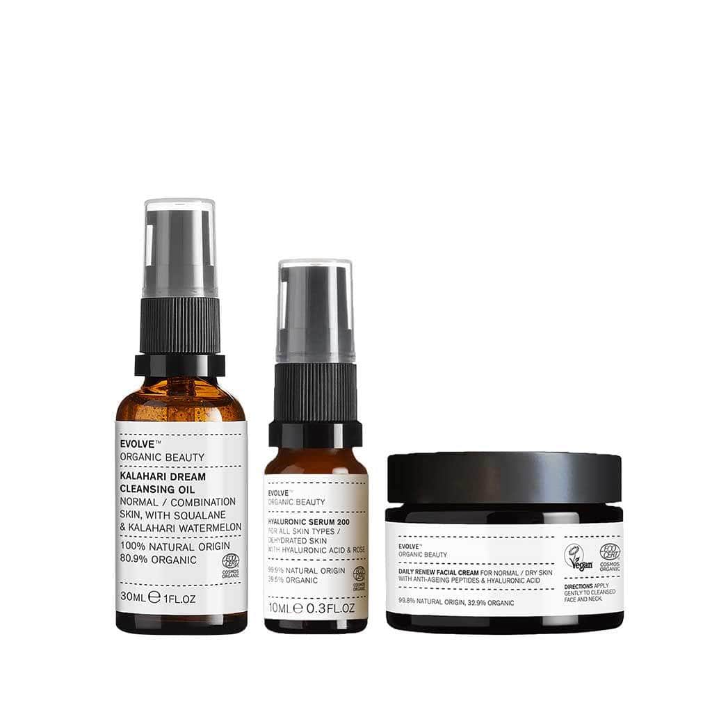 Evolve Organic Beauty Gift Set / Bundle The Daily Dream Discovery Set