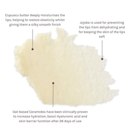 ingredient information about cupuacu butter, jojoba and ceramides in evolve organic skincare vegan skin lip balm