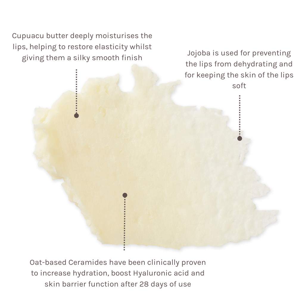 ingredient information about cupuacu butter, jojoba and ceramides in evolve organic skincare vegan skin lip balm