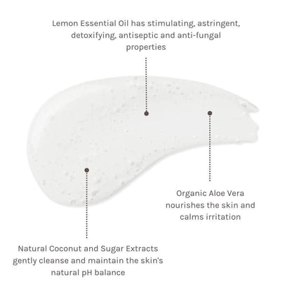 Evolve Organic Beauty Body Wash Citrus Blend Aromatic Hand &amp; Body Wash - Family Size